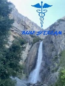 Blue Stream Hospice Logo